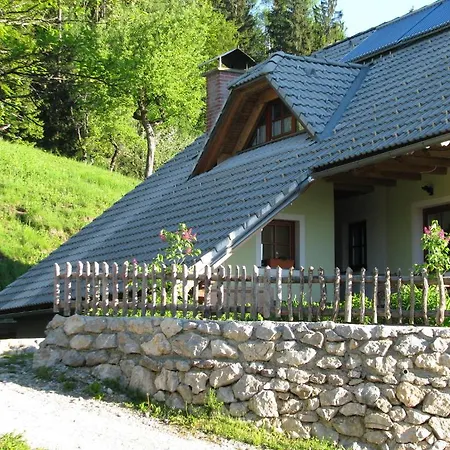 Vaznik Farm House Apartments Bled Exterior photo