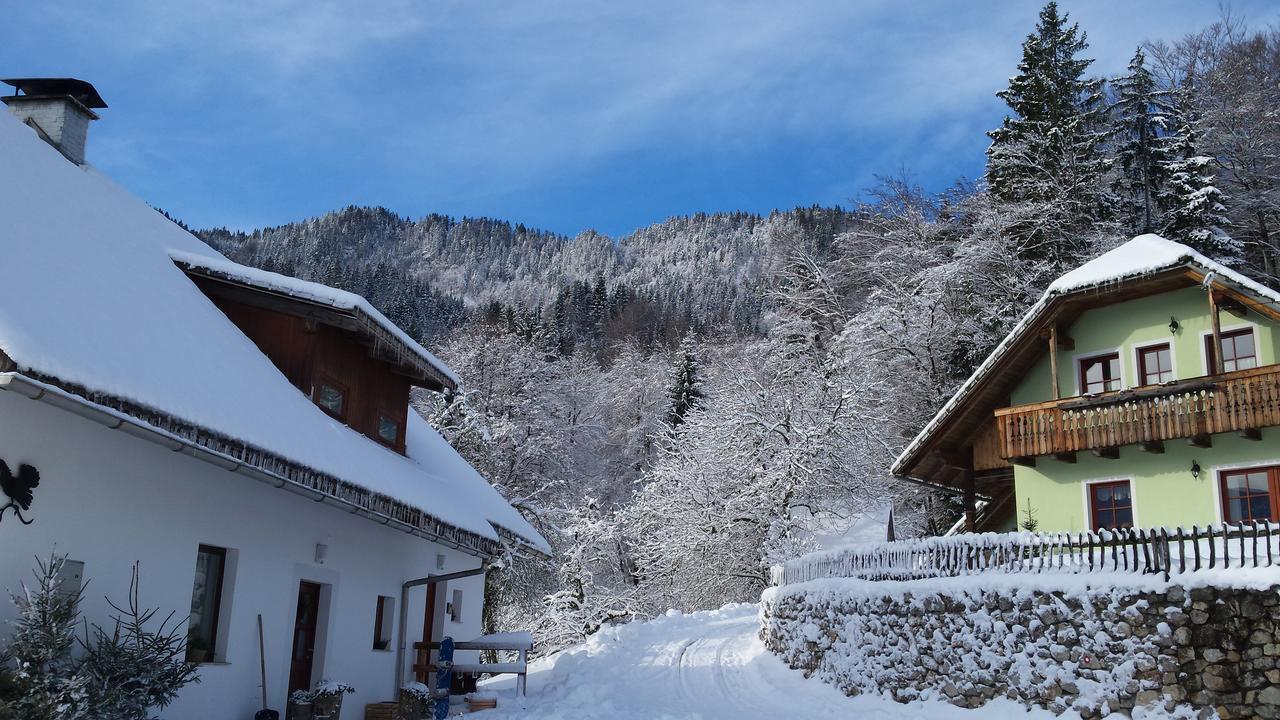 Farm stay Vaznik *