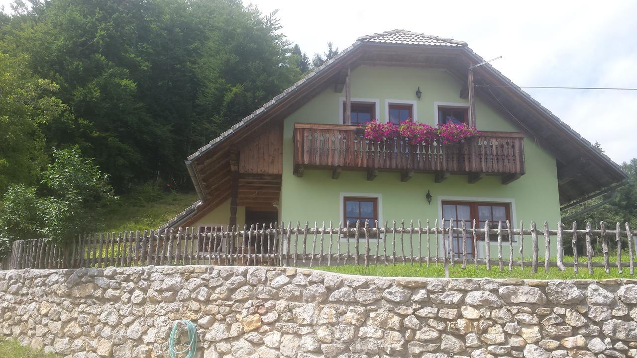 Vaznik Farm stay