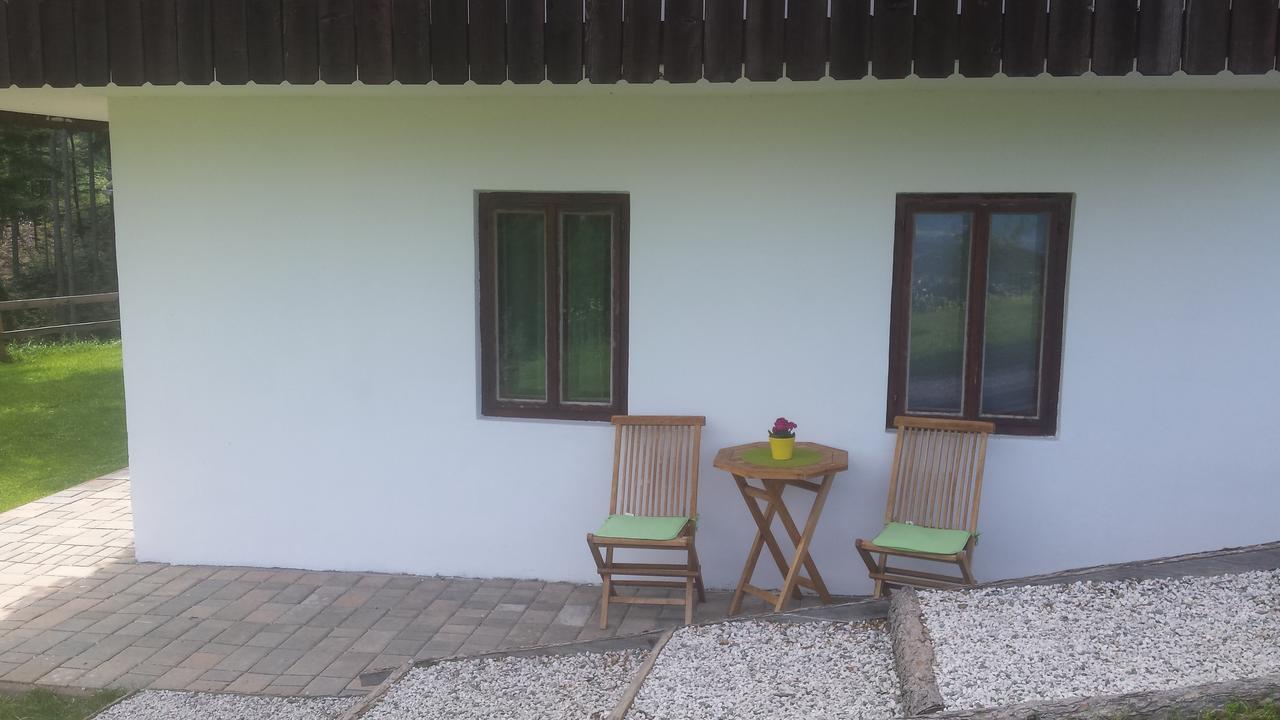 Farm stay Vaznik