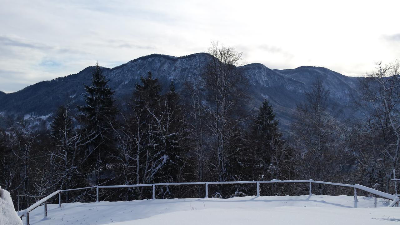Vaznik Farm stay
