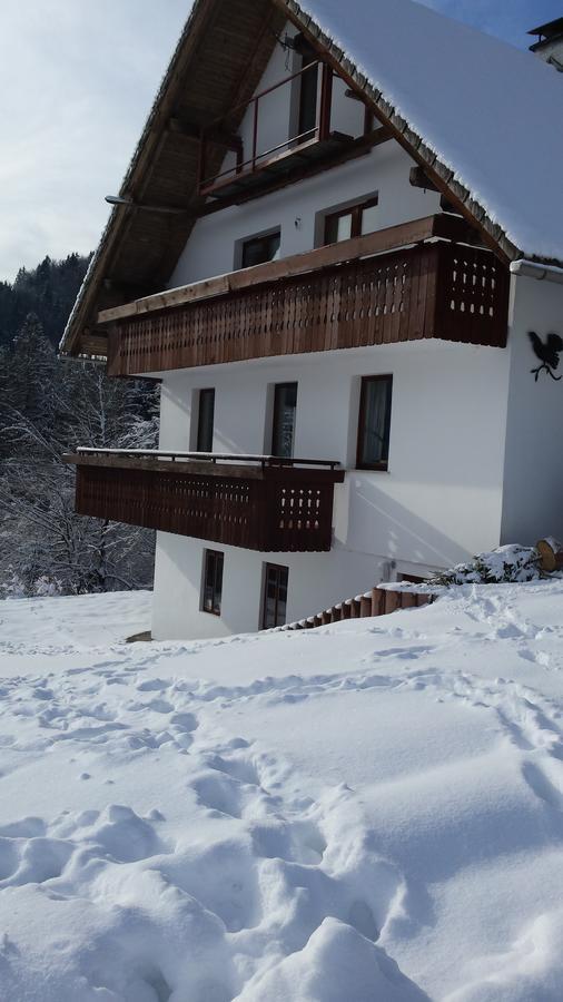Farm stay Vaznik
