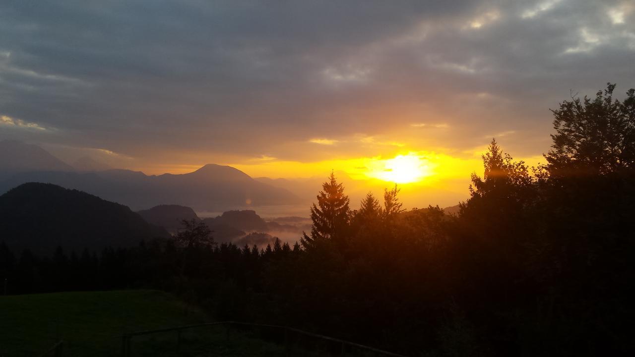 Vaznik Farm stay