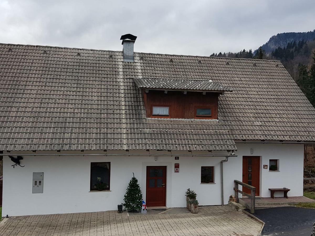 Vaznik Farm stay *