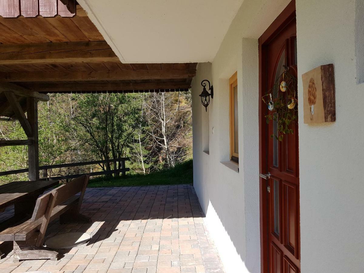 Vaznik Farm stay *